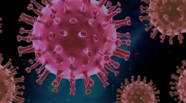 Corona virus vorarlberg